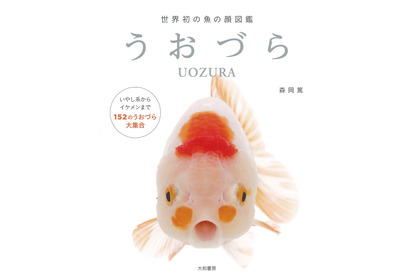 大和書房、「世界初の魚の顔図鑑 うおづら」を刊行 画像