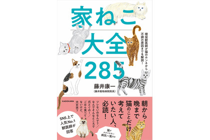 KADOKAWA、「現役獣医師が猫のホンネから不調の原因までを解説！ 家ねこ大全 285」を刊行…9月2日 画像