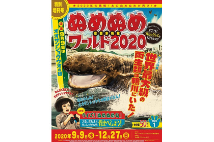 オオサンショウウオの生態を伝えるイベント、「京都水族館ぬめぬめワールド2020」開催…9月9日～12月27日 画像