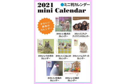 誠文堂新光社、ペットや海の動物などラインナップ豊富な「2021年カレンダー」を発売…9月25日 画像