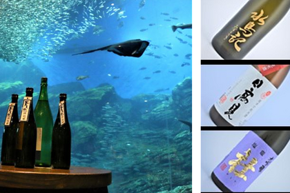 仙台うみの杜水族館、「魚を肴に 日本酒ナイト水族館」を開催…10月24日 画像