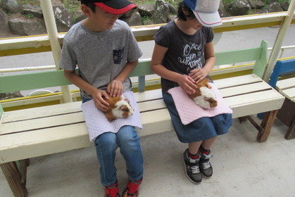JAF長野、小諸市動物園にてJAFデーを開催…10月25日 画像