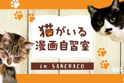「猫がいる漫画自習室 in SANCHACO」、三軒茶屋の保護猫ワーキングスペースにて開催…11月22・25日・12月4日 画像