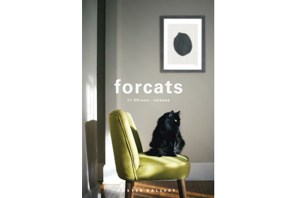 猫のポスターで保護猫活動を支援する「for catsシリーズ」開始…売上の一部を寄付 画像