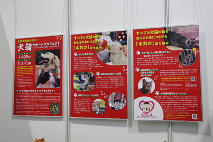 本当の殺処分ゼロに向けた「犬猫サポートプロジェクト」…名古屋市健康福祉局【インターペット愛知】 画像