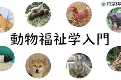 ネットラーニング、帝京科学大学の「動物福祉学入門」をオンラインで無料開講…21年1月27日開講 画像