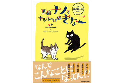 コミックエッセイ「黒猫ナノとキジシロ猫きなこ」、KADOKAWAより刊行 画像