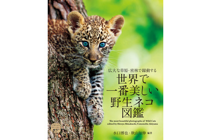 「世界で一番美しい野生ネコ図鑑」、誠文堂新光社より刊行…21年1月12日 画像