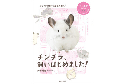 誠文堂新光社、“マンガでわかる”チンチラの飼育書を発売…4月10日 画像