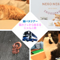鯱バス、猫好きのための新たなバスツアー“にゃんこ旅”を発売