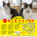 地域密着型猫イベント「第13回 ねこまつり at 湯島」開催
