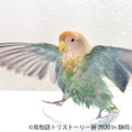 BACON、「鳥物語トリストーリー展 2020 in 静岡」を開催