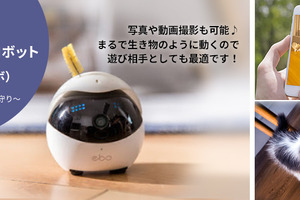 撮影や声かけもできるペット用スマートロボット「Ebo」発売 画像