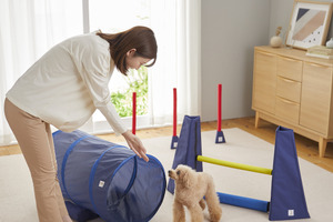 部屋の中で運動しながら愛犬と遊べる遊具「Sippoleアジリティ」、ペピイから発売 画像