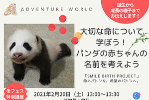 アドベンチャーワールド、無料オンライン授業「大切な命について学ぼう！パンダの赤ちゃんの名前を考えよう」を開催…2月20日 画像