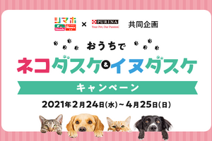 島忠、SNSにて保護犬猫活動応援キャンペーンを実施…4月25日まで 画像