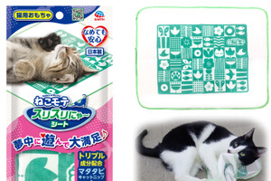 アース・ペット、「愛猫用おもちゃ ねこモテ」シリーズを新発売 画像
