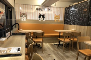 「OSAKA na kitchen×猫部パーラー」、阪急大阪梅田駅にオープン 画像