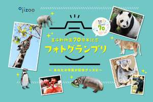 神戸新聞社、「王子動物園70周年記念フォトグランプリ」を開催…募集期間4月30日まで 画像