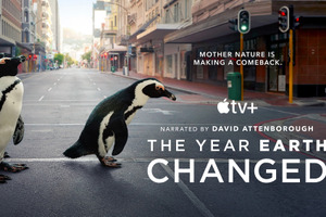 Apple、Apple TV+にて野生生物のドキュメンタリースペシャル「その年、地球が変わった」を公開…4月16日 画像
