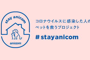アニコム、コロナ感染者のペットを預かるプロジェクト「#StayAnicom」を開始 画像