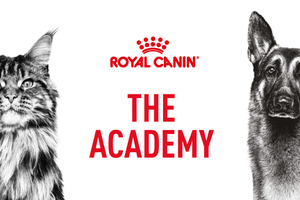 ロイヤルカナン ジャポン、獣医療関係者向けEラーニングサイト「ROYAL CANIN ACADEMY」を開講 画像