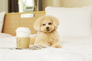プリンスホテル、愛犬と一緒にワーケーションができるプランを販売 画像
