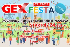 ジェックス、オンライン展示会「GEX FESTA」を開催…5月31日まで 画像