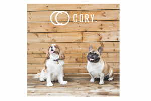 MARU、“犬と人のライフスタイルブランド”「CORY.」をローンチ 画像