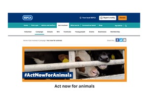 イギリスの動物愛護事情 vol.8…王立動物虐待防止協会が動物福祉の向上へ40の提言、「どんな動物も置き去りにしない」 画像