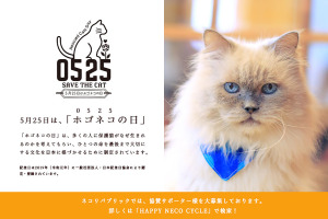 ネコリパブリック、「指1本でできる猫助けキャンペーン」をSNSで開催…5月25日は「ホゴネコの日」 画像