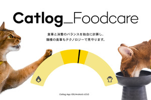 RABO、猫の食事をテクノロジーでサポートする「Catlogフードケア」をリリース 画像