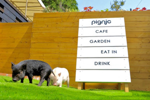 マイクロブタと触れ合える牧場体験型カフェ「pignic farm&cafe」プレオープン…6月4日 画像