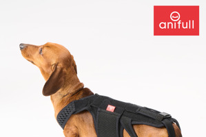 胴長犬の腰をサポート、犬用コルセット「わんコル With」発売…ダイヤ工業 画像