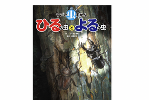 絵本『すごい虫ずかん ひるの虫とよるの虫』、KADOKAWAより刊行 画像