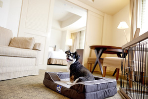 都ホテル 岐阜長良川、愛犬と過ごす「ドッグステイプラン」を発売 画像