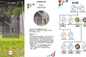 動物園の動物ごとの性格や家系図がわかる「one zooスコープ」、提供開始…KDDI 画像