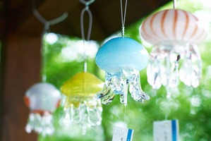 京都水族館、“クラゲ風鈴”が織りなす涼やかな音色「くらげと風鈴」を開催…7月3日～9月30日 画像