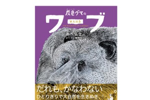 あべ弘士のシートン動物記シリーズ最新作『灰色グマのワーブ』、学研プラスより刊行…7月15日 画像
