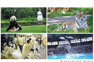 アドベンチャーワールド、オンライン会議用背景として動物の画像を無料配布 画像