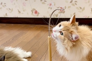 猫用おもちゃ「マグネッコ」販売開始、マグネットで不規則な動きを実現 画像