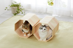 奈良県の「吉野桧」を使用した猫専用トンネルベッド新発売…ペピイ 画像