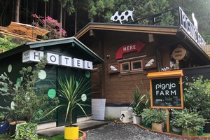 マイクロブタと遊べる体験型牧場「pignic farm&café」、マイクロブタ専用ペットホテルを開設 画像