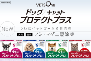 ペットゴー、犬猫用のノミ・マダニ駆除薬「ベッツワンプロテクトプラス」を発売 画像