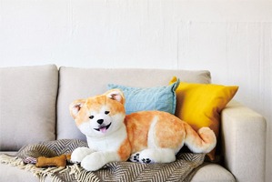 フェリシモが秋田犬保存会とコラボ、ぬいぐるみ＆ポーチを発売 画像