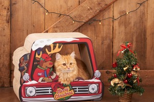 トナカイとプレゼントをお届け、猫用爪とぎシリーズに「クリスマス」登場… オーサムストア 画像