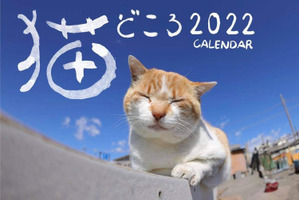 各地で出会った猫たちの写真でつづる「猫どころ 2022 CALENDAR」発売 画像