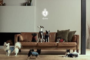 高機能・高品質にこだわった小型犬用ドッグウェアブランド「dytem」デビュー 画像