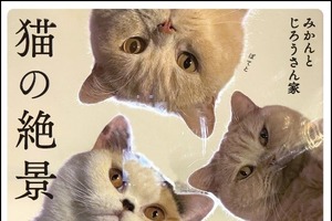 フォトブック『猫の絶景』、KADOKAWAより刊行…予約受付中 画像