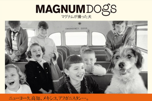 世界各地の“犬がいる風景”を集めた写真集、『MAGNUM DOGS マグナムが撮った犬』刊行 画像